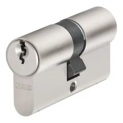 E20NP Profile Cylinder Locks Set of Identical Locks with Keys