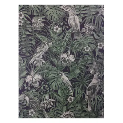 Tropical Birds Palm Leaf Wallpaper Green Black Paste Wall Vinyl A.S Creation