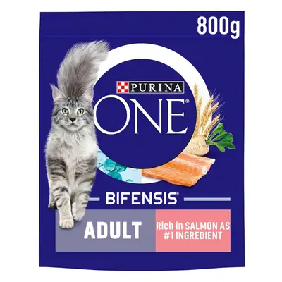 Purina ONE Adult Dry Cat Food Rich in Salmon 800g, Pack of