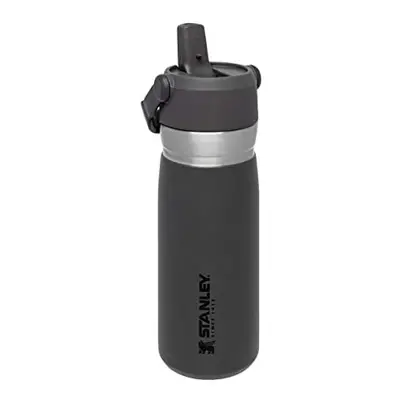 IceFlow Stainless Steel Water Bottle with Straw 0.65L - Keeps Cold for 12+ Hours - Leakproof Ins