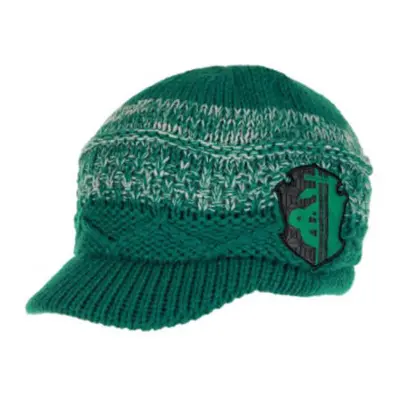 Harry Potter Knit Brim Cap (Slytherin)