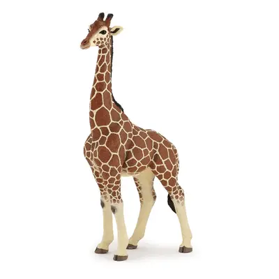 Papo Giraffe Male Figure