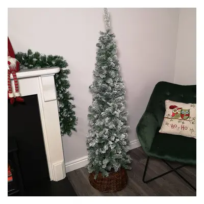 5.5ft (1.7m) Snow Flocked Spruce Pine Slim Christmas Tree in Green