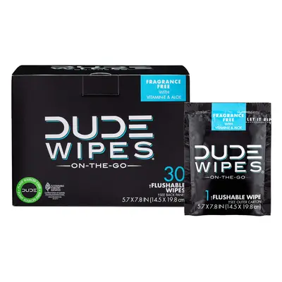 Dude Products Dude Wipes Box of