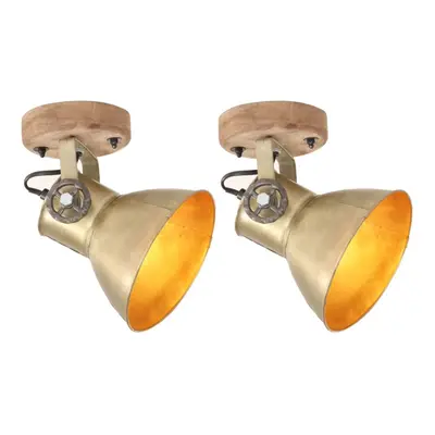 vidaXL 2x Industrial Wall/Ceiling Lamps Brass E27 Bedside Light Living Room