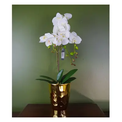 54cm Artificial Orchid Plant White with Gold Pot