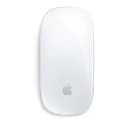 Apple Magic mouse Office Ambidextrous Bluetooth