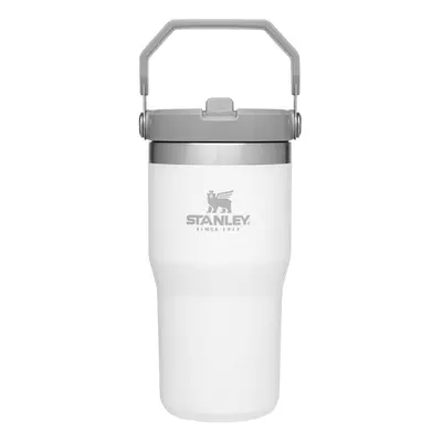 Stanley IceFlow Stainless Steel Tumbler with Straw Vacuum Insulated Water Bottle for Home Office