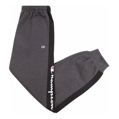 Champion Sweatpants for Men Big and Tall - Embroidered Mens Fleece Jog