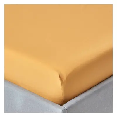 (Super-King, Mustard) Egyptian Cotton Fitted Sheet TC