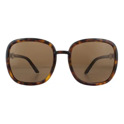 Gucci Sunglasses GG0893S Dark Havana Brown