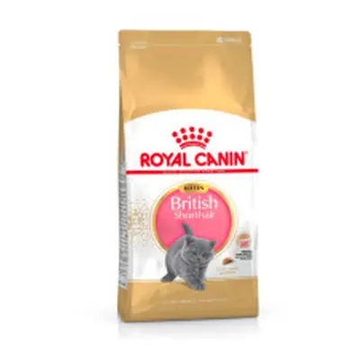 Royal Canin British Shorthair Kitten Healthy Muscles Strong Bones 10kg