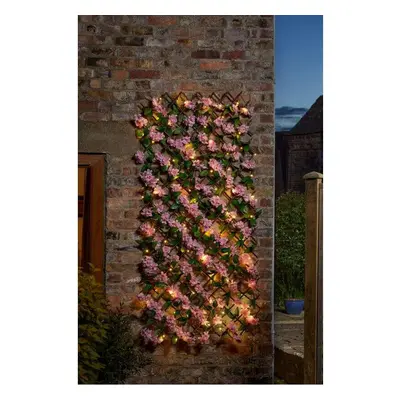 (180 x cm LED 5604102) In-Lit Cherry Blossom Trellis Solar Powered Artificial LED x 60, x cm