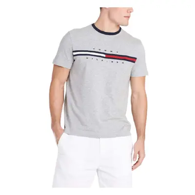 Tommy Hilfiger mens Short Sleeve Logo T-shirt T Shirt Medium grey Hea