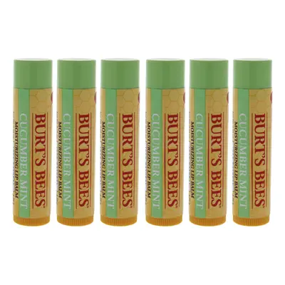 Burts Bees Cucumber Mint Moisturizing Lip Balm - Pack of For Women 0.15 oz Lip Balm