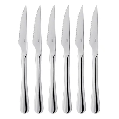 Windsor BF25 Piece 18/0 Stainless Steel Steak Knife Set for People in Gift Box - Year Guarantee