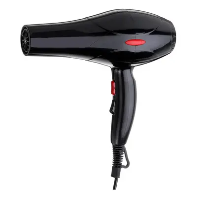 220V 50Hz 2200W Hair Dryer Black Dust and Noise Reduction Inlet Design