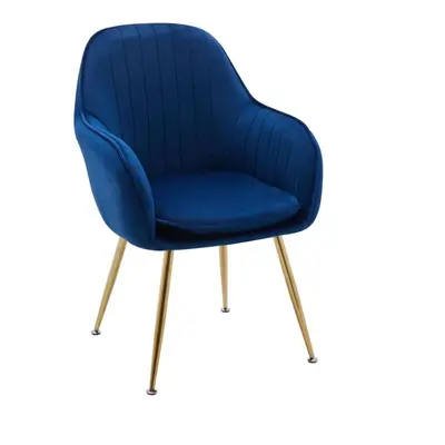 (Navy) Luxury French velvet Design dining chair T05