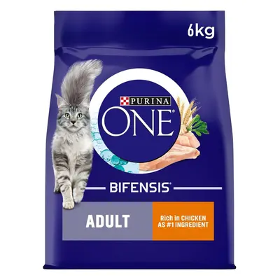 Purina ONE Adult Dry Cat Food Rich in Chicken 6kg, Packaging may vary