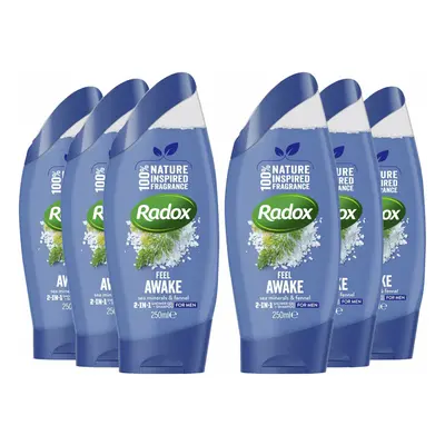 Radox Feel Awake Shower Gel, Sea Minerals & Fennel, Pack, 250ml