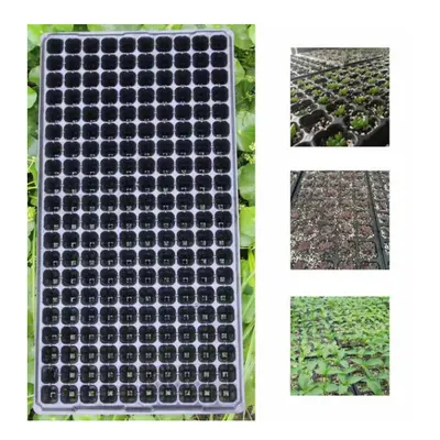 200 Cell Seedling Starter Tray Seed Germination Plant Propagation