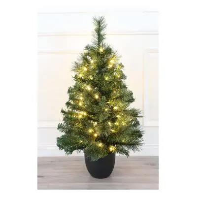 (Pre--lit 3ft - branch tips, LEDs) Un-lit/Pre-lit Small Dew Pine Potted Tree (3ft to 4ft) | Chri