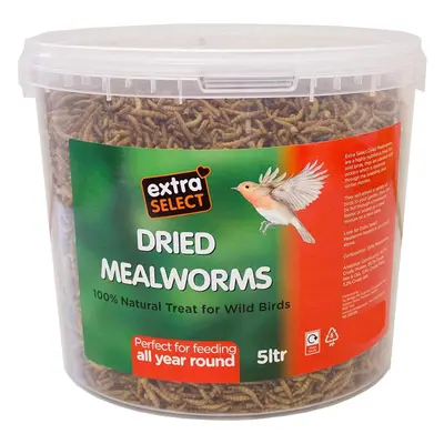 Extra Select Dried Mealworms Wild Bird Feed Treat, Litre