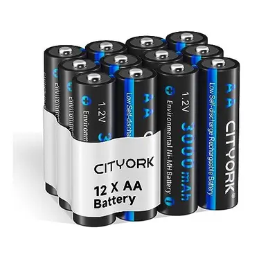 AA Rechargeable Batteries, 3000mAh High Capacity 1.2V NiMH Pre-charged Battery with Low Self Dis