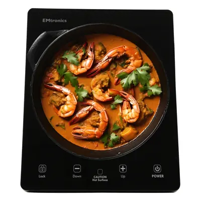 (Black, Single) EMtronics Counter Top Induction Hob - Black