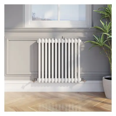 Traditional Colosseum Horizontal Double Bar Column Radiator x 605mm White