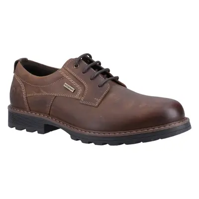 (8 UK, Dark Tan) Cotswold Mens Tadwick Leather Shoes