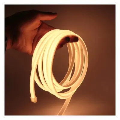 (warm white, 28M) Cob Led Neon Strip Light 220v 110v 288leds/m Cri Ra90 Flexible Outdoor Led Tap