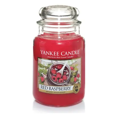 Yankee Candle Red Raspberry Jar Candle, Large - Red