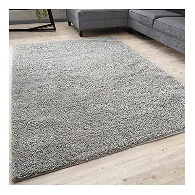 THE RUGS Living Room Rug - Shaggy Soft And Elegant Carpets For The Bedrooms And Kitchen, Easy To