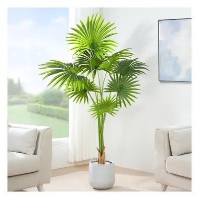 (160CM) Artificial Fan Palm with Plastic Planter and Moss