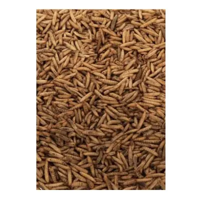 Maltbys' Stores Limited Dried Calciworms 5kg Premium Wild Bird & Hedgehog Food Higher Calcium Th