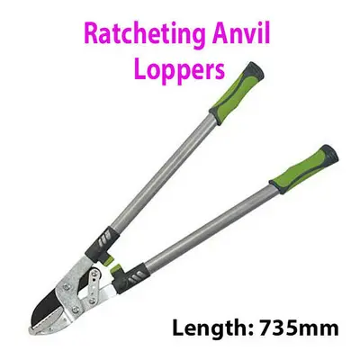 735mm Ratcheting Anvil Lopping Shears Garden Allotment Tool Branch Twig Bush