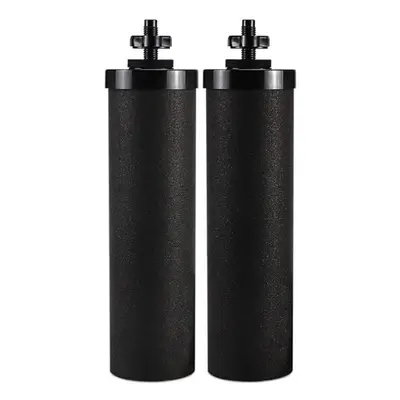 2 Pack Berkey Water Purification Filter Cartridges