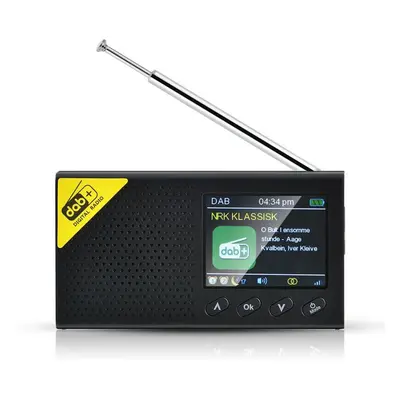 (as the picture) Portable Digital Radio Bluetooth-compatible 5.0 Dab/fm Receiver Broadcasting Pl