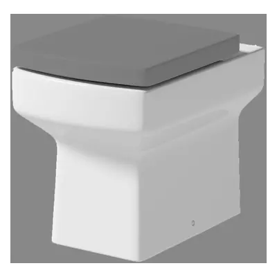 Back to Wall Toilet BTW Bathroom Modern Pan Square Cloakroom Soft Close Seat