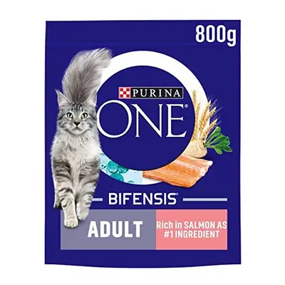 Purina ONE Adult Dry Cat Food Rich in Salmon 800g (Case of 4)