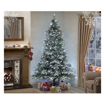 (240cm (8ft) PRE LIT Lapland Fir - Ice White) Snow Covered Christmas Tree Luxury Lapland Fir - P