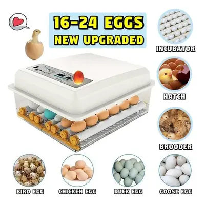 (white, UK Plug-16 eggs) Upgraded Automatic Household Eggs Incubator For Peacock Duck Goose Egg 