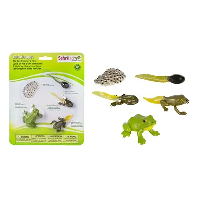 Safari Ltd. Life Cycle of a Frog Figurine Set - Miniature Educational