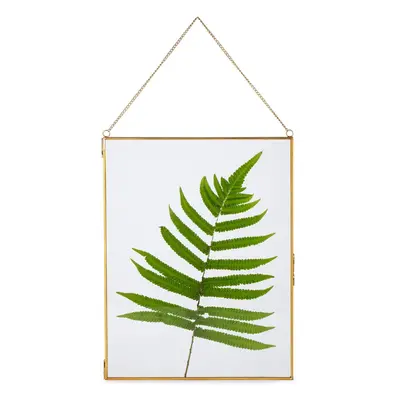 (36x28 cm) Double Glass Brass Frame for Pressed Dried Flowers, Plants Specimen, Certificate, Pho