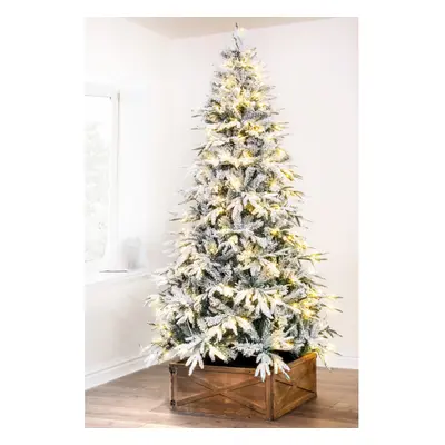 (Pre-lit 4ft - branch tips, LEDs) Christmas Tree World | The Un-lit/Pre-lit Snowy Alpine Tree (4