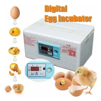 (as the picture) Automatic Digital Incubator Poultry Hatcher Temperature Control Brooder Eggs