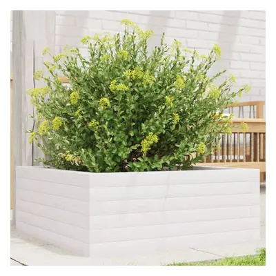 vidaXL Garden Planter White 60x60x23 cm Solid Wood Pine