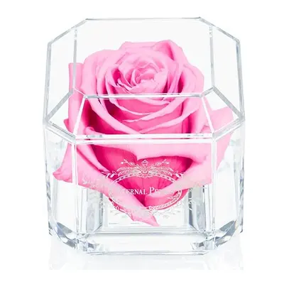 Eternal Petals A 100% Real Rose That Lasts A Year - The Perfect Unique Gift for Women and Men, A