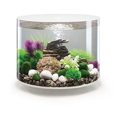 biOrb Tube 35L Aquarium, White with LED lighting